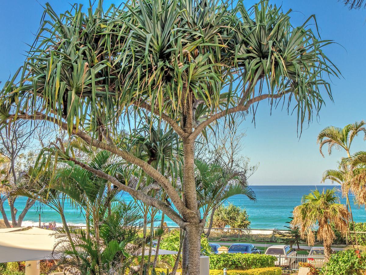 Oceana On Broadbeach Bagian luar foto